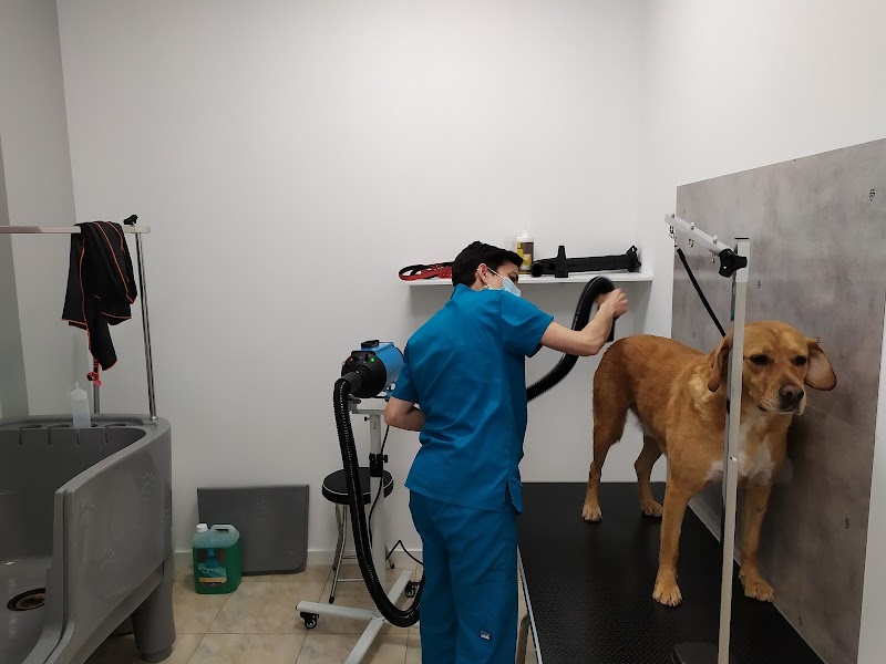 Clínica Veterinaria Meu Vet photo 4