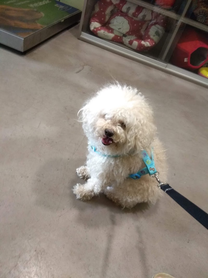 Clínica Veterinaria Veteros