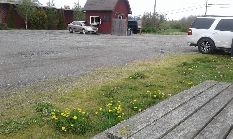 Coupeville Prairie Perks photo 4