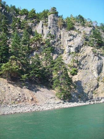 Coupeville Prairie Perks photo 4
