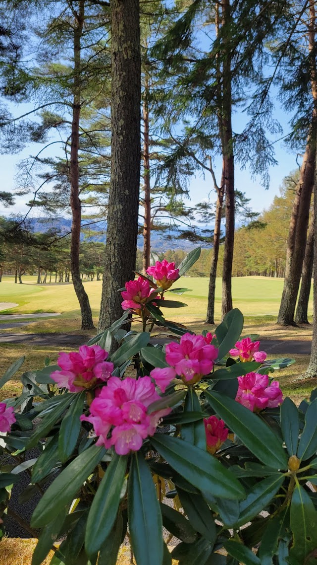 Oaasama Golf Club - Photo 10