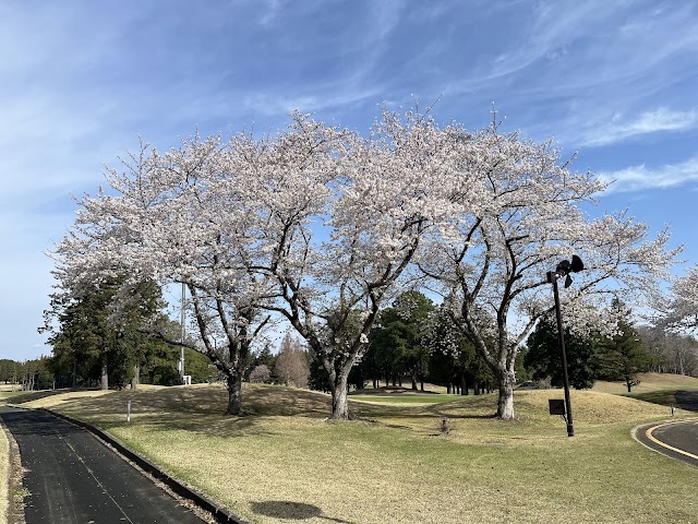 Kasumigaura Golf Club - Photo 8