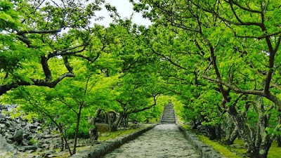 Nakijin Castle Ruins - 1