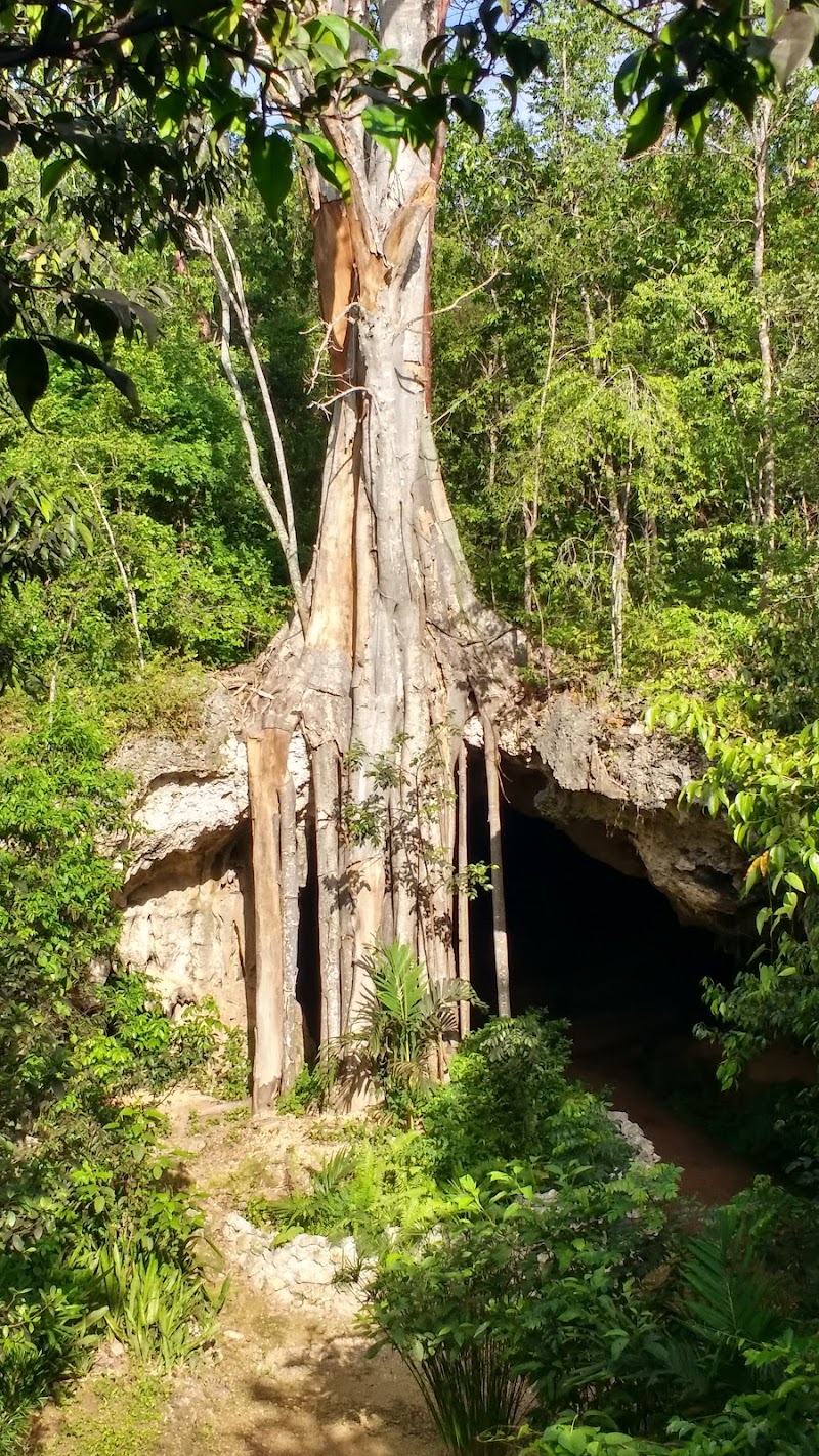 Crystal Caves Grand Cayman photo 2