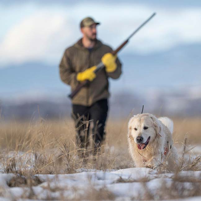 Rooster Ridge Pheasant Club - Photo 2