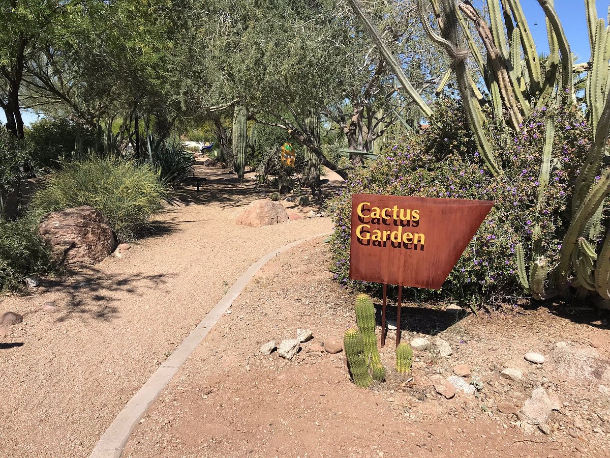 Glendale Xeriscape Garden