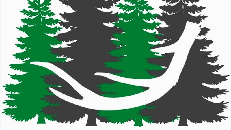 Pine & Tines photo