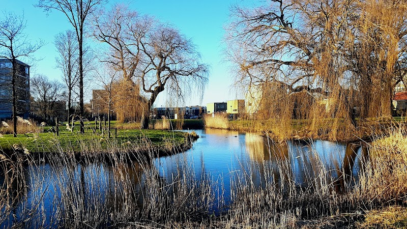 Hoogvliet Noord