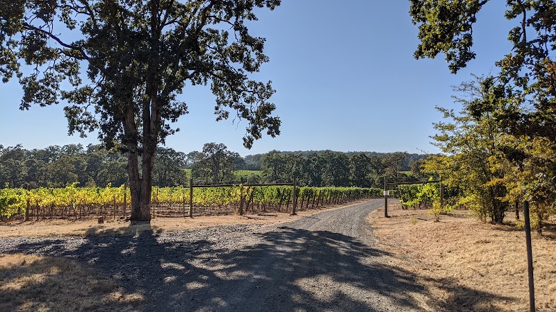 Left Coast Estate photo 3