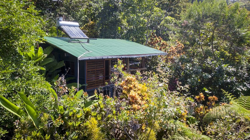 Tiskita Jungle Lodge