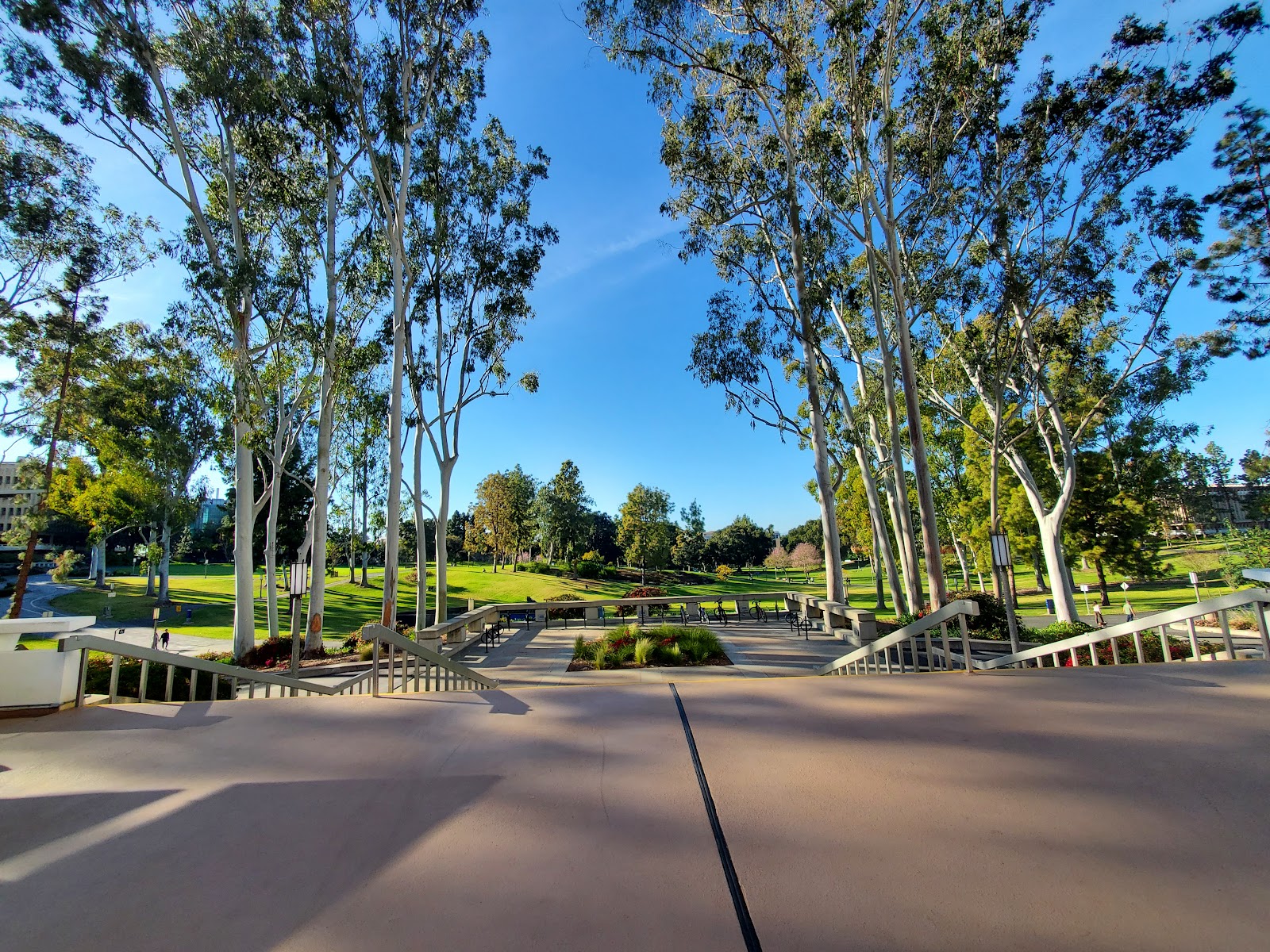 カリフォルニア大学アーバイン校（University of California-Irvine）（Irvine、カリフォルニア州）