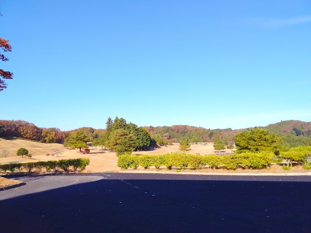 Green Academy Country Club - Photo 8