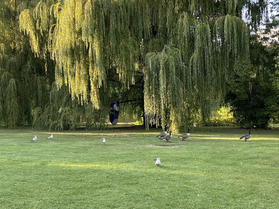 Parc Angrignon fotoğraf 1