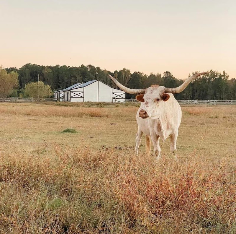 Langston Ranch - Photo 1
