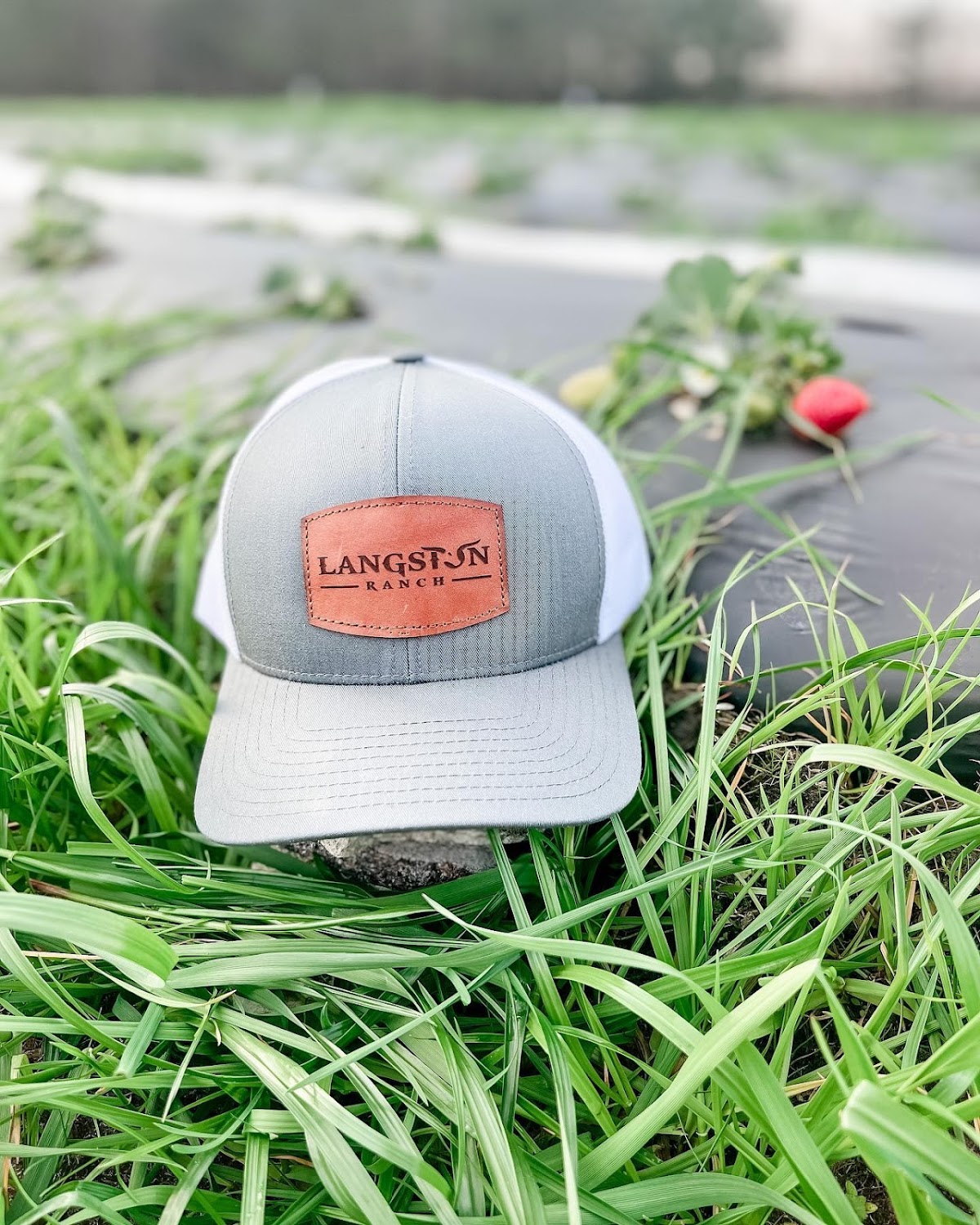 Langston Ranch