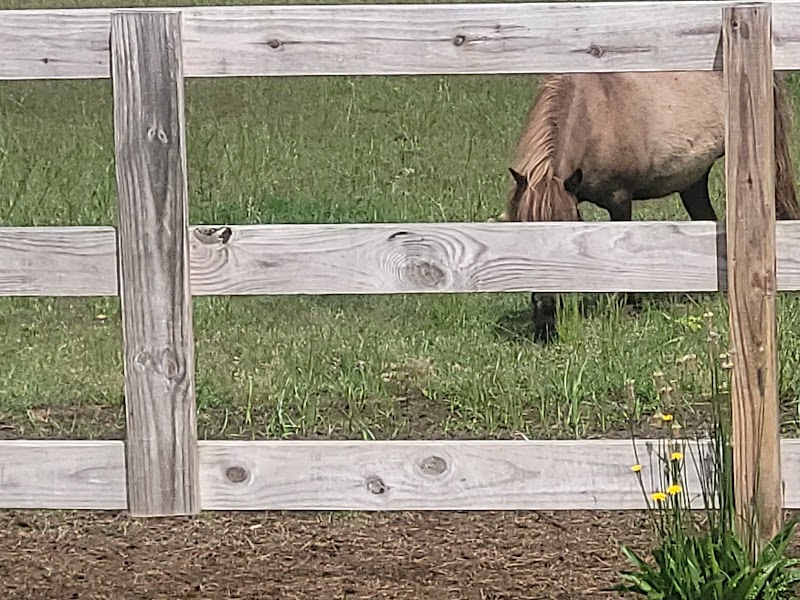 Langston Ranch - Photo 3