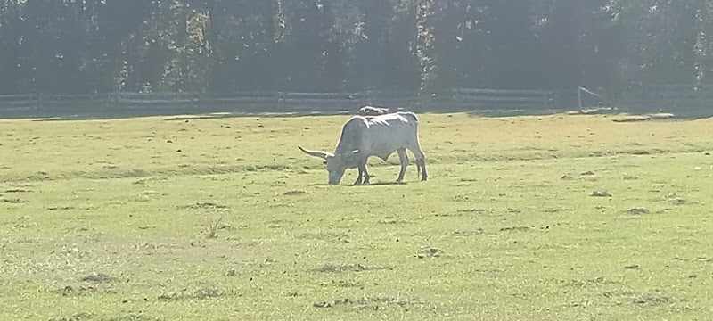 Langston Ranch - Photo 2