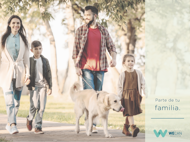 Clínica Veterinaria WECAN Segovia