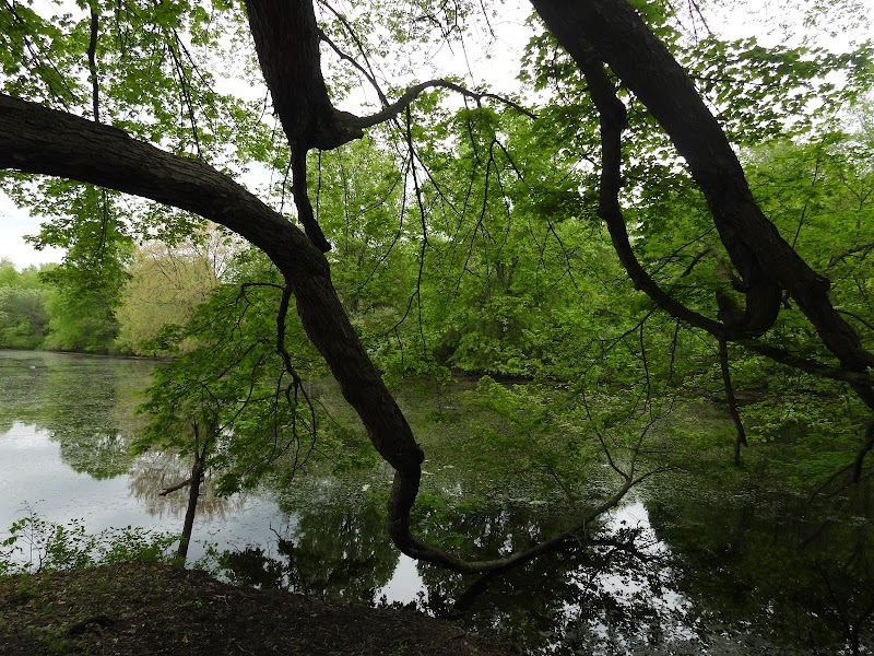 Portage Lakes Disc Golf Course photo 3