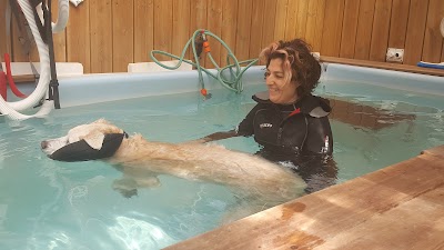 מרפאה וטרינרית - בילינסון לחיות וציפורים