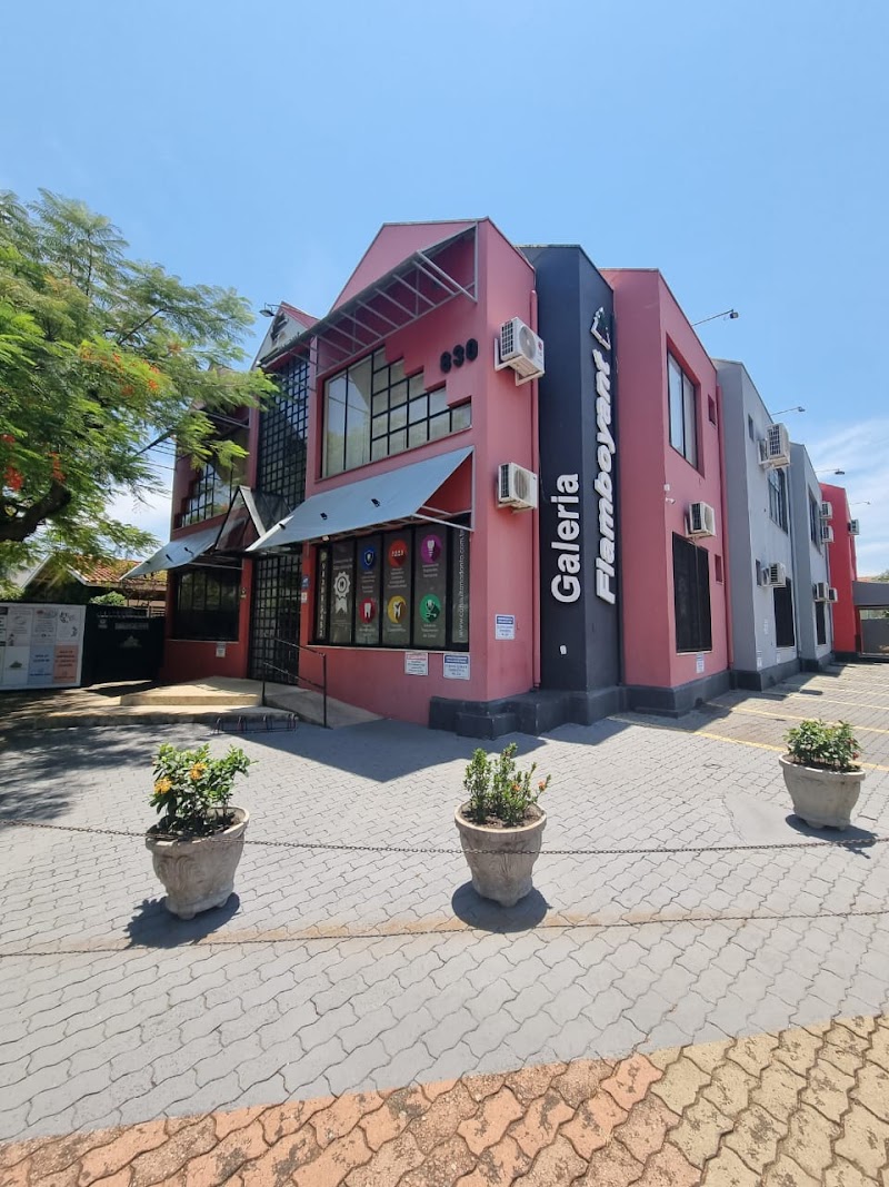 Consultório Odontológico Mariana Szatkovski - foto 2