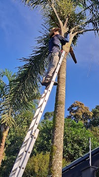 Prestação de Serviços Residenciais / Elói Lira