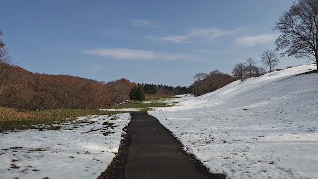 Anpei Golf Club - Photo 8