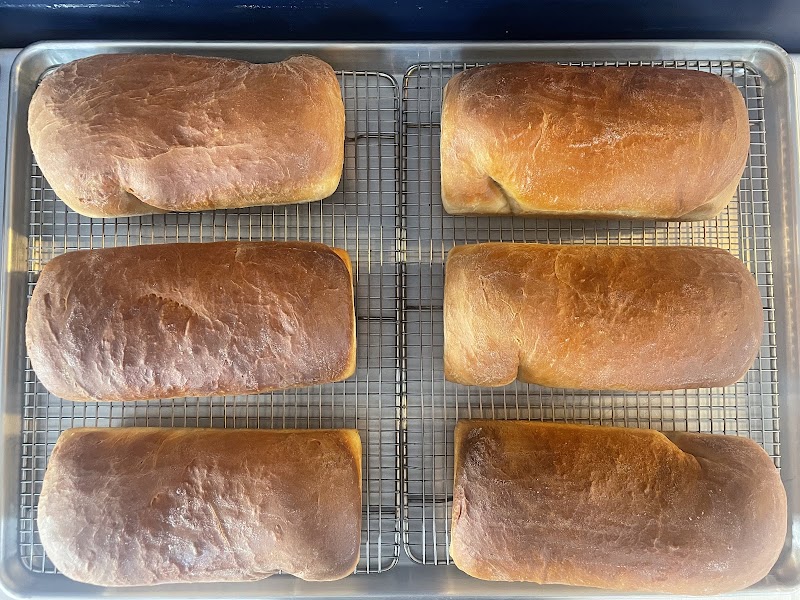 From Scratch photo 3