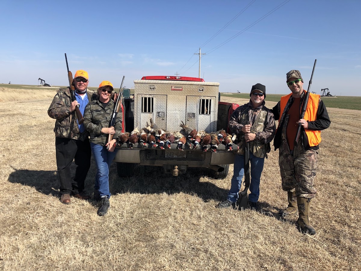 Pheasants Galore