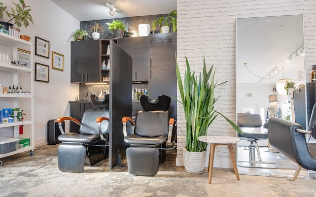 Hazel Salon & Organics