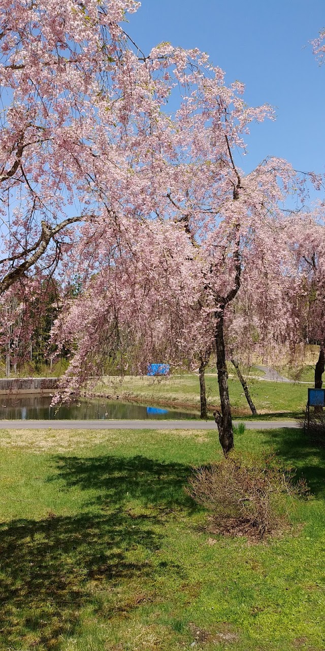 Daily Gujo Country Club - Photo 5