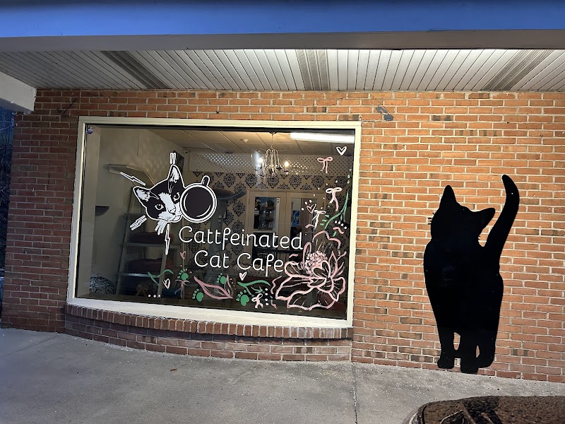 Cattfeinated Cat Cafe photo 1
