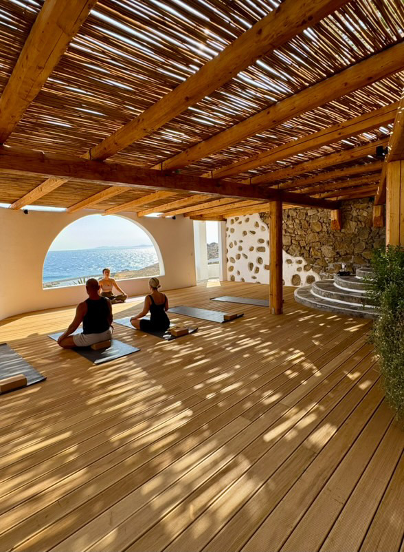 Wellness Experiences Mykonos by Mikaela — 3