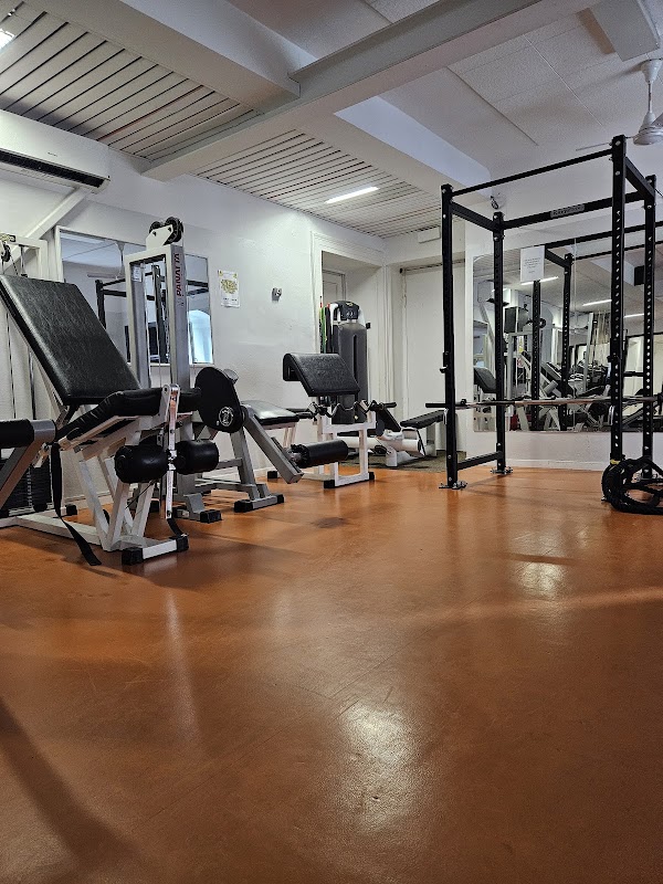 Palestra Maxima