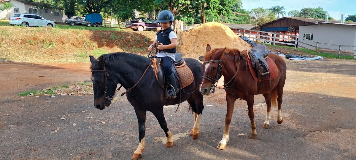 Centro Equestre Bruno de Amoedo Campos