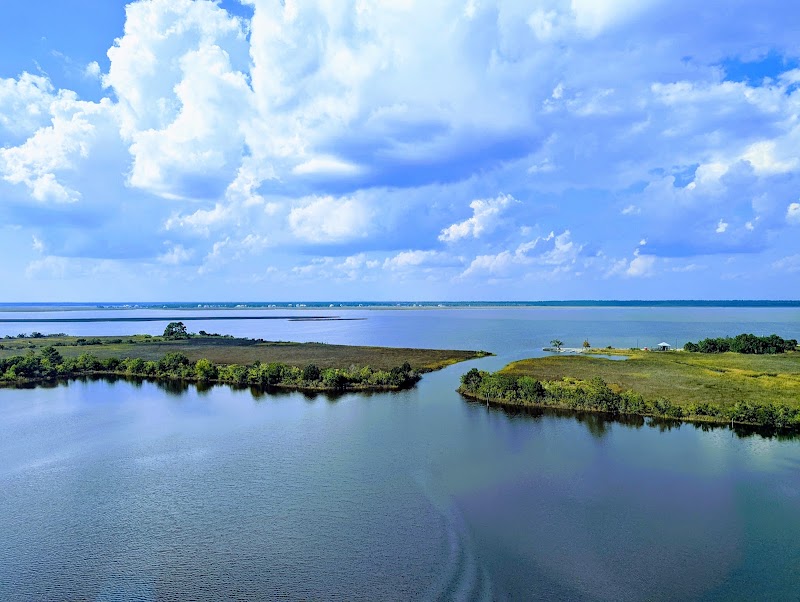 Hollywood Casino Gulf Coast photo 4