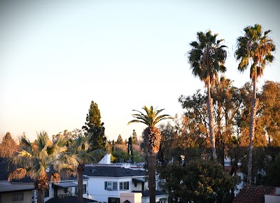 Omega Law Group Accident & Injury Attorneys - Car accident lawyer in Beverly Hills