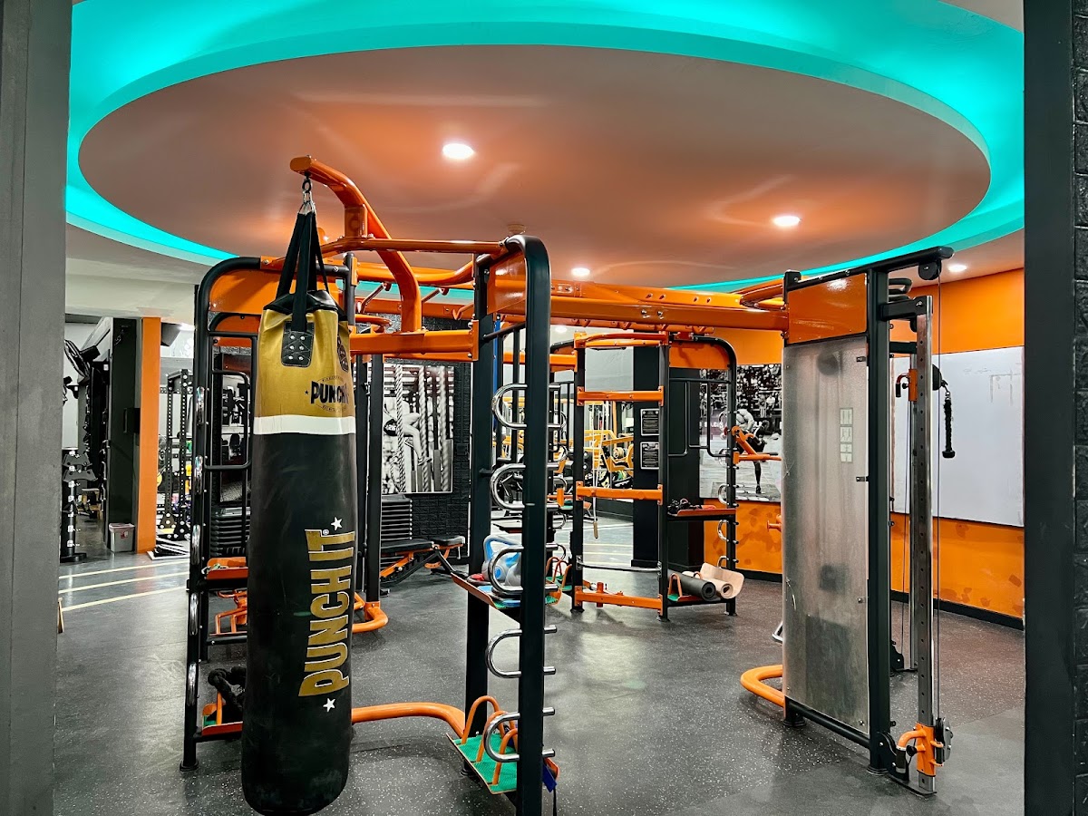 Elite Gym and Fitness - Photo 3