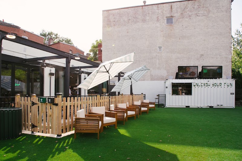 Dog Daze Social Club photo 8