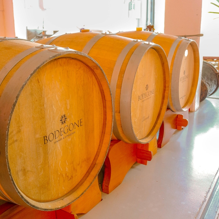 Vinícola Bodegone - Vinhos e Vinhedos