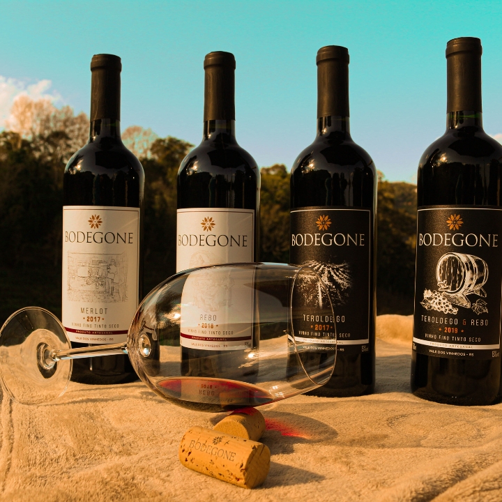 Vinícola Bodegone - Vinhos e Vinhedos
