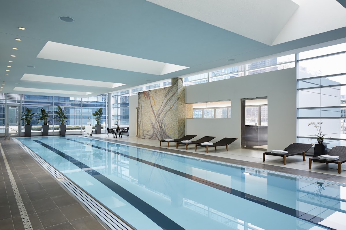 Loews Chicago Hotel, dog-friendly hotel, photo 2