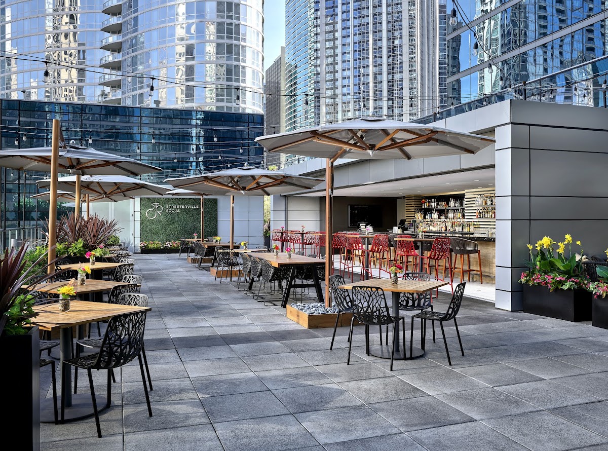 Loews Chicago Hotel, dog-friendly hotel in Chicago