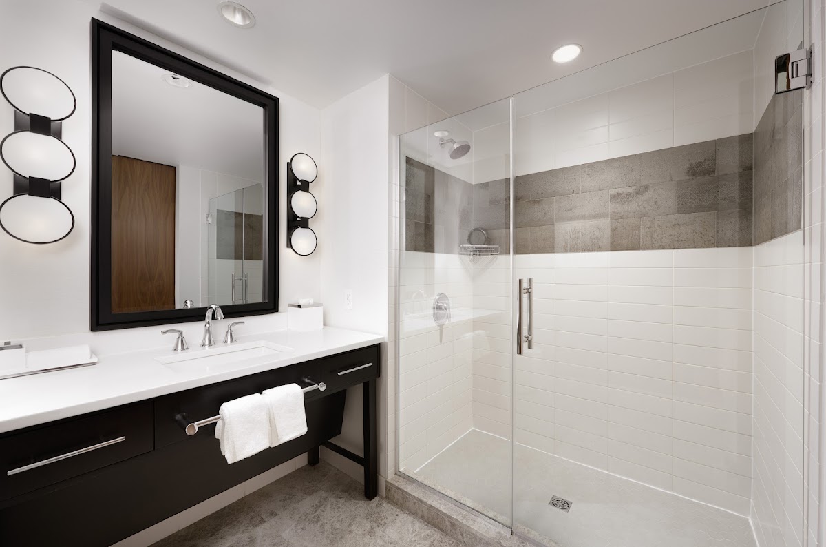 Loews Chicago Hotel, dog-friendly hotel, photo 3