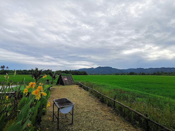 Loveuu Farm - Photo 1