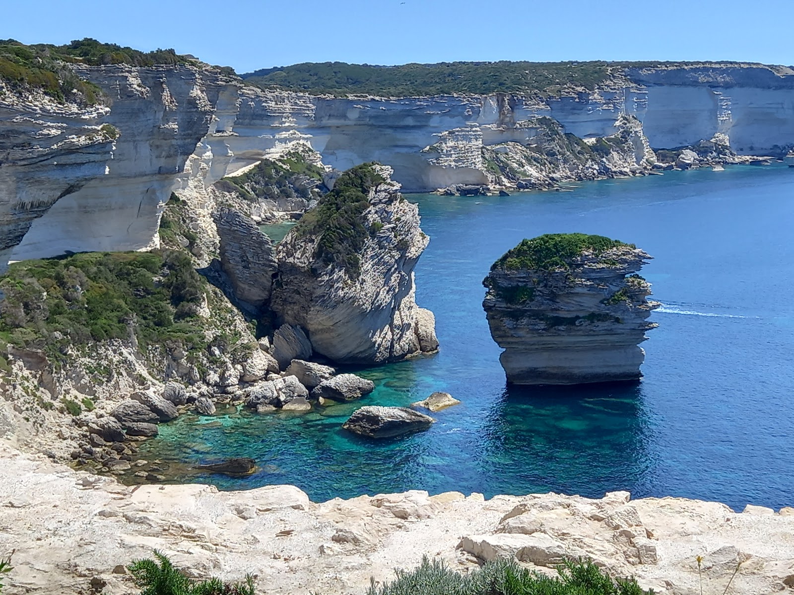 Best Dog-Friendly Hotels in Corsica, France