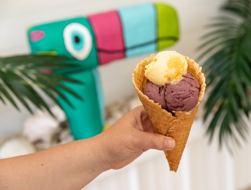 Tasty Toucan Handcrafted Ice Cream and Paleta-Pops! photo 3