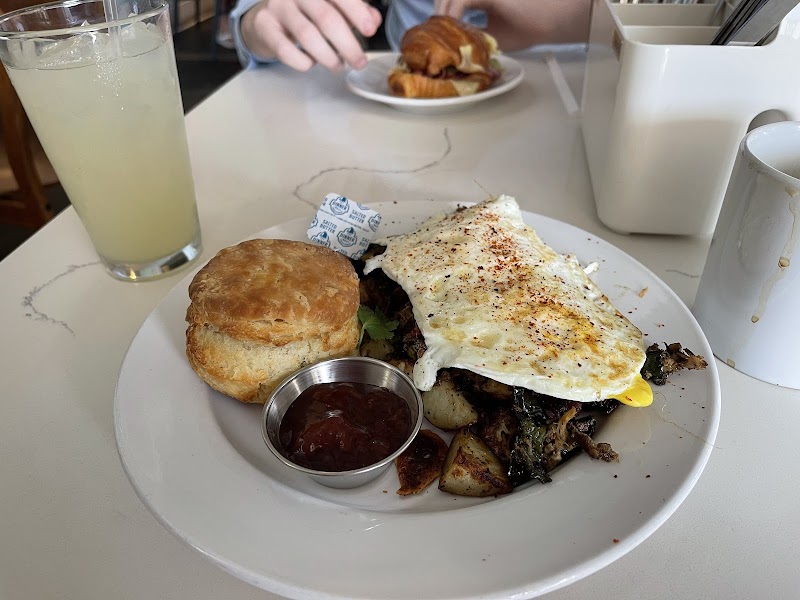 Satsuma Maple photo 4