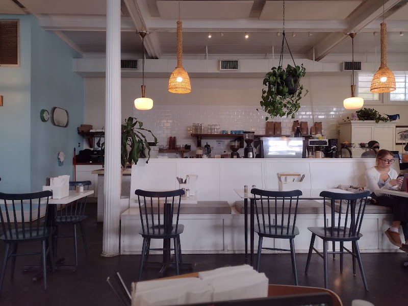 Satsuma Maple photo 4