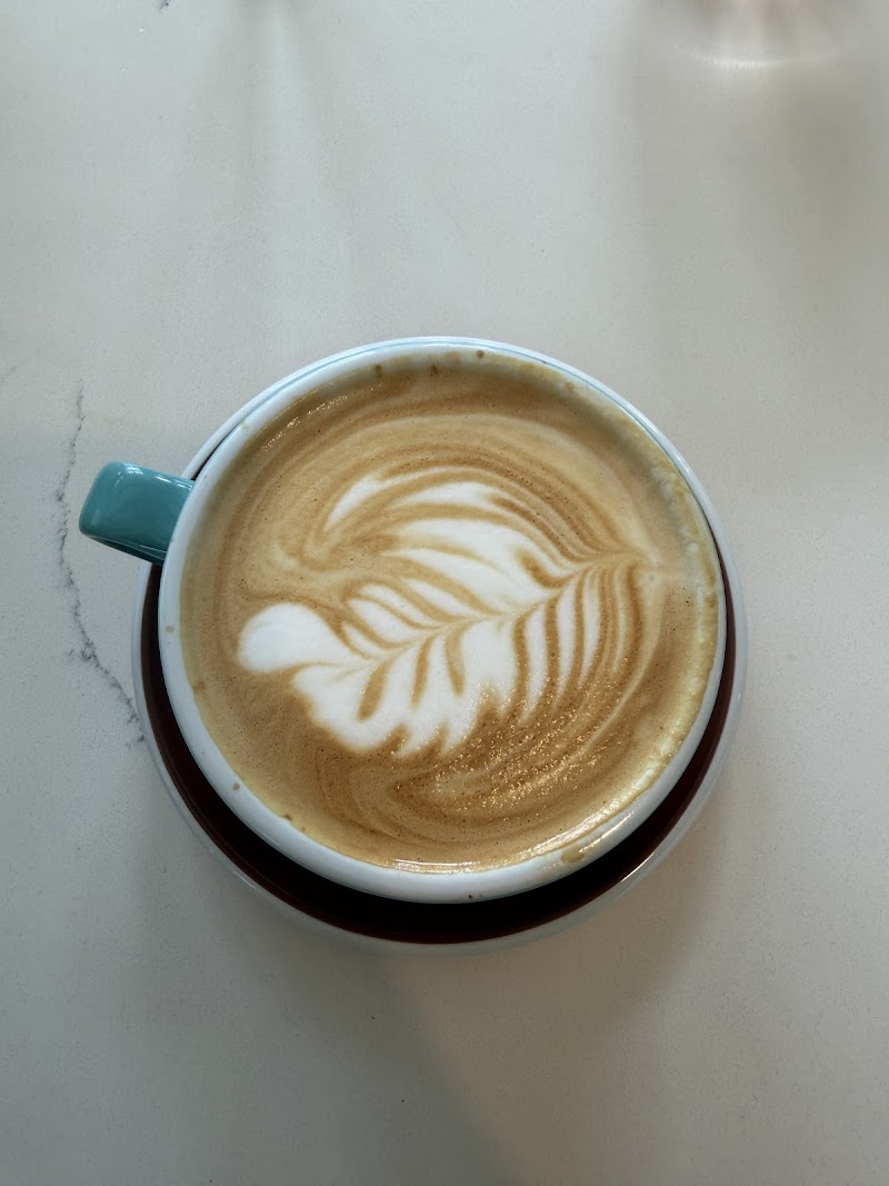 Satsuma Maple photo 3